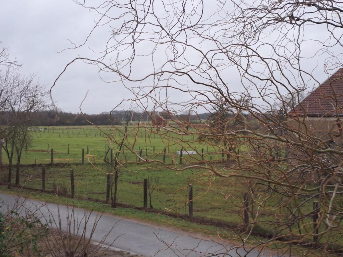 Gnaden- Und Ferienhof Saale Wittgenstein In The Middle Of Gar Nix Bismark Luaran gambar