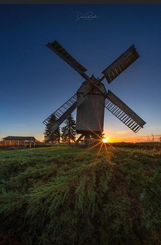 Gnaden- Und Ferienhof Saale Wittgenstein In The Middle Of Gar Nix Bismark Luaran gambar